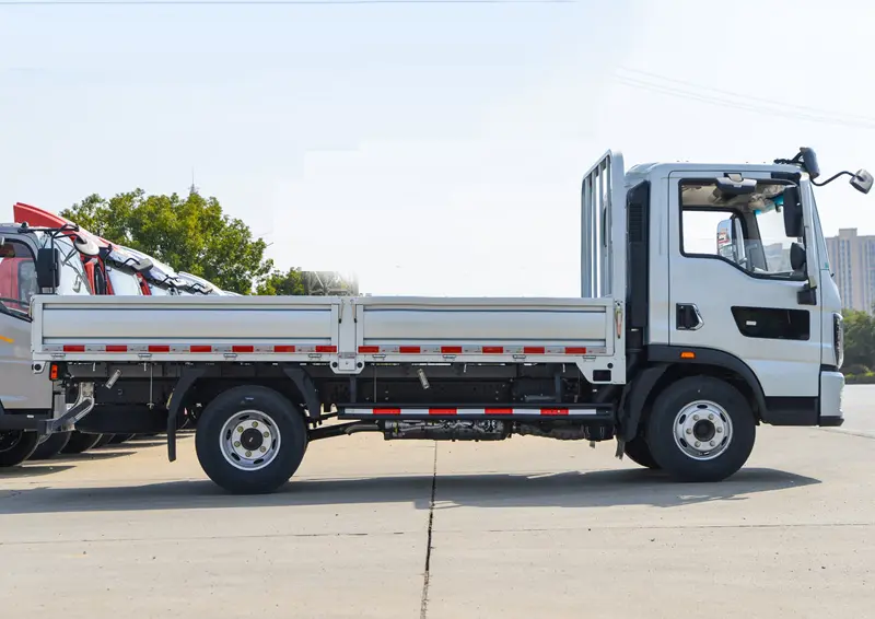 Sinotruk Howo 4x2 170 Light Truck