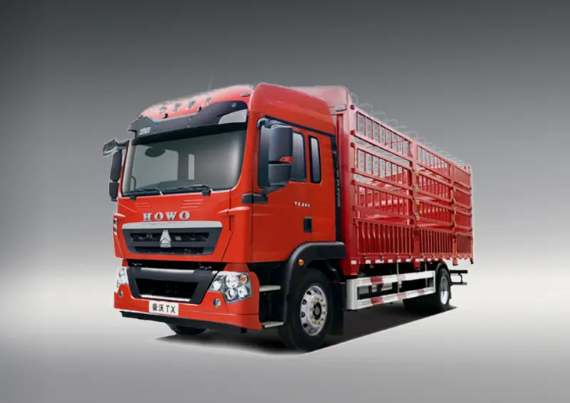 Sinotruck Howo TX 270 4x2 Cargo Truck