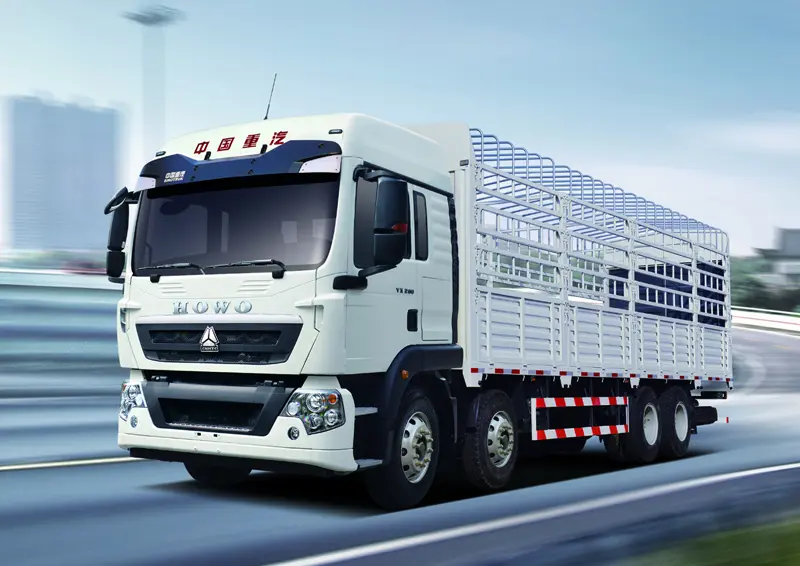 Sinotruck Howo TX 8x4 Cargo Truck